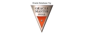 Oracle DB Bronze 11g