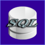 SQL：WHERE句内で「(+)」を指定する意味