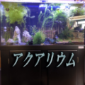 【アクアリウム】120cm水槽 混泳 #3 ~直立不動の青コリさん~