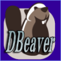 DBeaver：テーブルに登録済のレコードをinsert文形式に変換して取得する方法