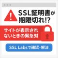 SSL証明書が期限切れ？サイトが表示されないときの緊急対応とSSL Labsでの確認方法