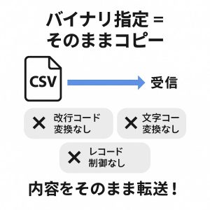 HULFTにおける「バイナリ指定」とは