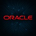 Oracle「ORA-06502: PL/SQL 数値または値エラー」エラーが出た時の解決方法