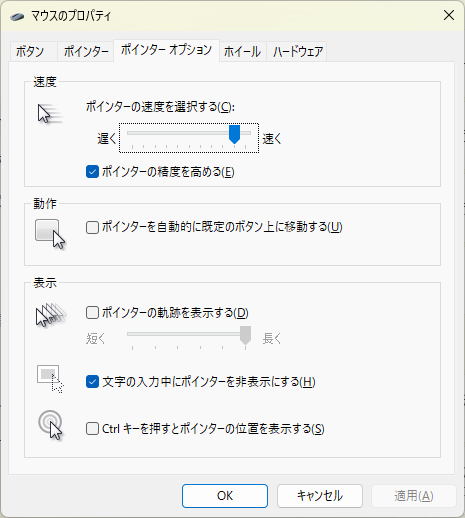 ポインター オプション